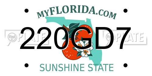 220GD7 Florida License Plate