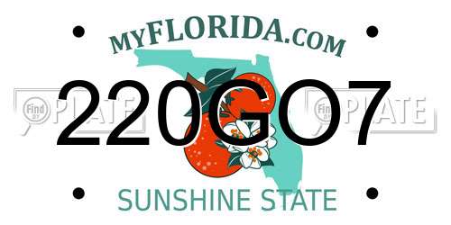 220GO7 Florida License Plate