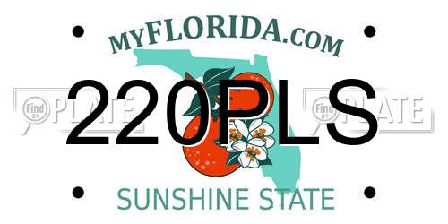 220PLS Florida License Plate