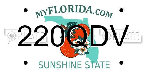 220QDV Florida License Plate