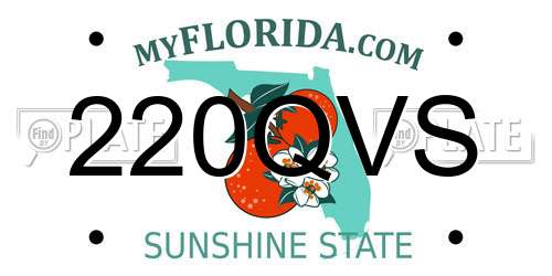 220QVS Florida License Plate