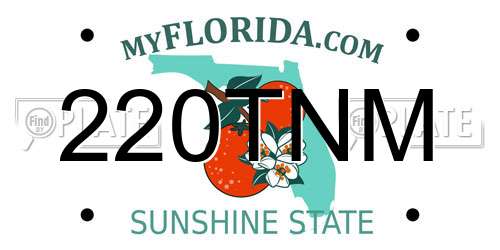 220TNM Florida License Plate