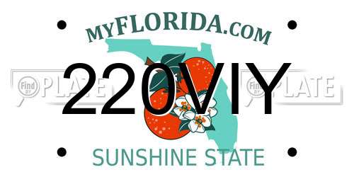 220VIY Florida License Plate