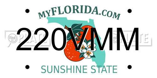 220VMM Florida License Plate