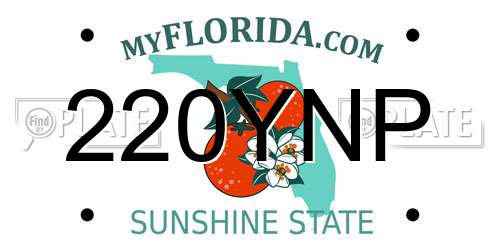 220YNP Florida License Plate