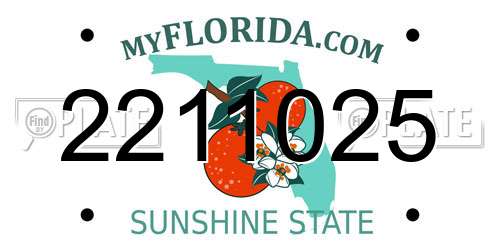 2211025 Florida License Plate
