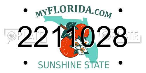 2211028 Florida License Plate