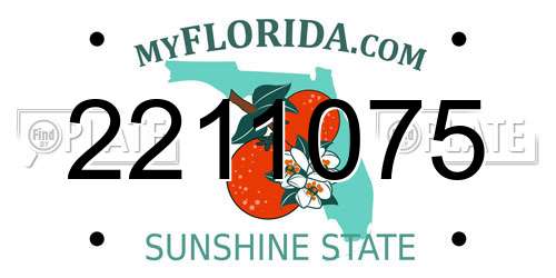2211075 Florida License Plate
