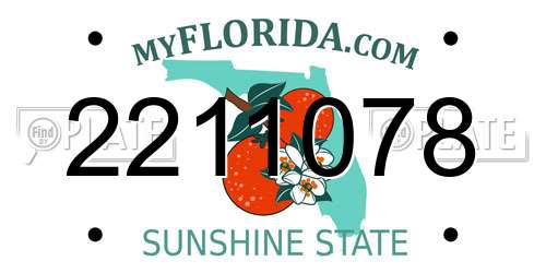 2211078 Florida License Plate
