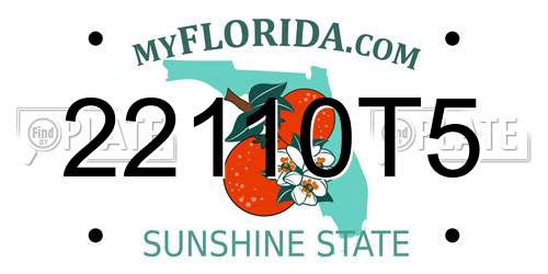 22110T5 Florida License Plate