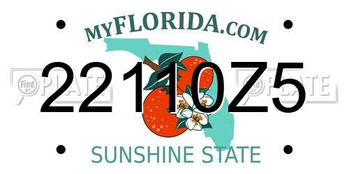 22110Z5 Florida License Plate
