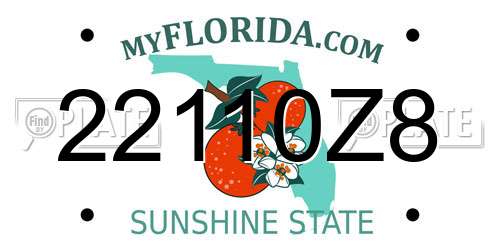 22110Z8 Florida License Plate
