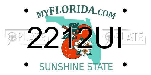 2212UI Florida License Plate