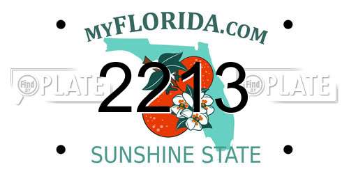 2213 Florida License Plate