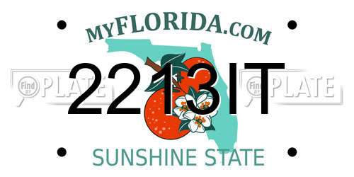 2213IT Florida License Plate