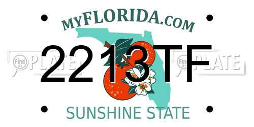 2213TF Florida License Plate