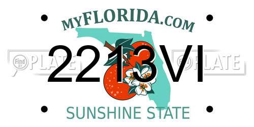 2213VI Florida License Plate