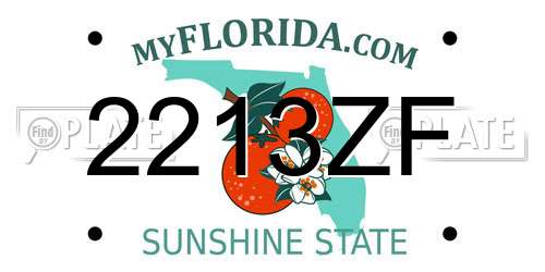 2213ZF Florida License Plate