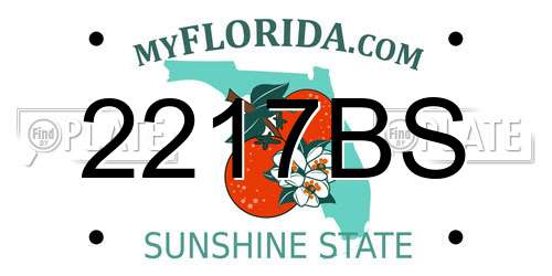 2217BS Florida License Plate