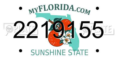 2219155 Florida License Plate