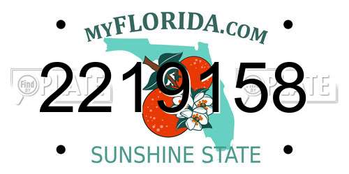 2219158 Florida License Plate