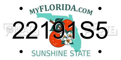 22191S5 Florida License Plate