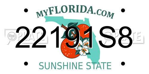 22191S8 Florida License Plate
