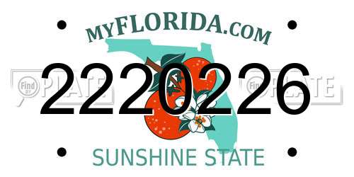 2220226 Florida License Plate