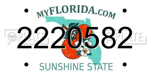 2220582 Florida License Plate
