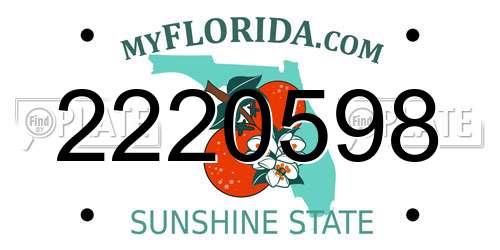 2220598 Florida License Plate
