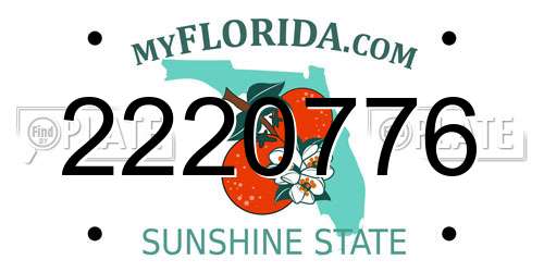 2220776 Florida License Plate