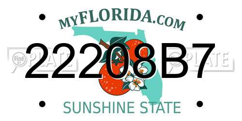 22208B7 Florida License Plate