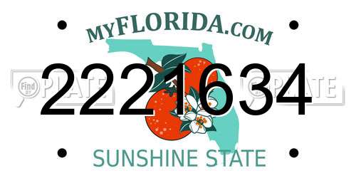 2221634 Florida License Plate