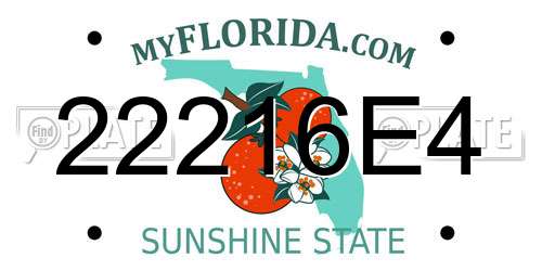 22216E4 Florida License Plate