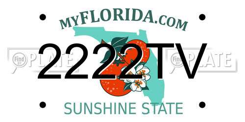 2222TV Florida License Plate
