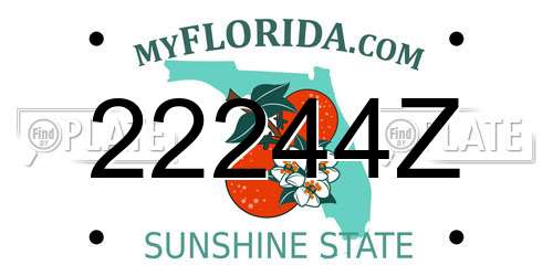 22244Z Florida License Plate