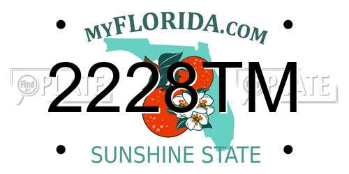 2228TM Florida License Plate