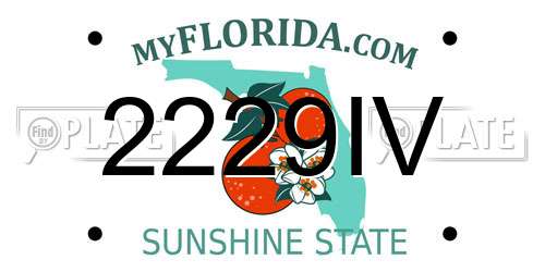 2229IV Florida License Plate