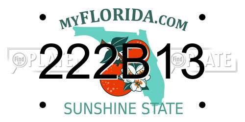222B13 Florida License Plate