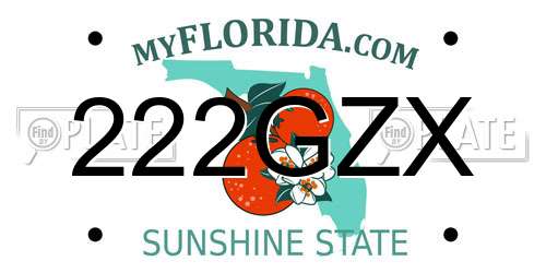 222GZX Florida License Plate