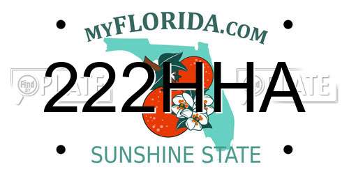 222HHA Florida License Plate
