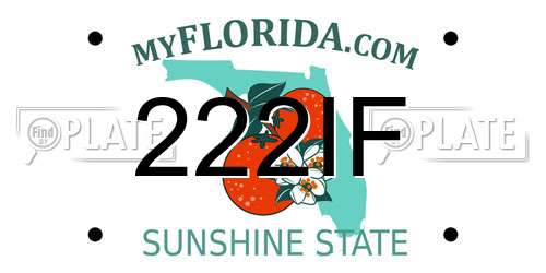 222IF Florida License Plate