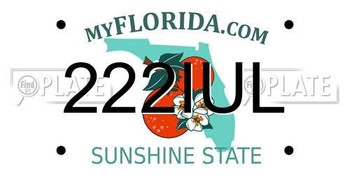 222IUL Florida License Plate