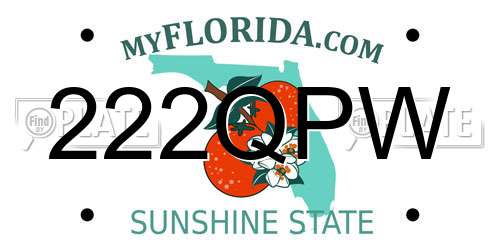222QPW Florida License Plate