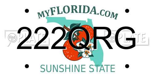 222QRG Florida License Plate