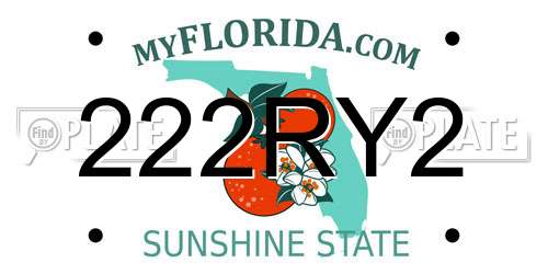 222RY2 Florida License Plate