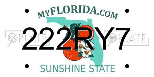 222RY7 Florida License Plate