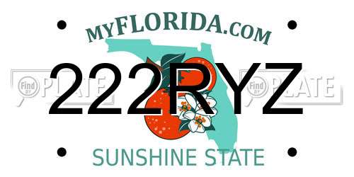 222RYZ Florida License Plate