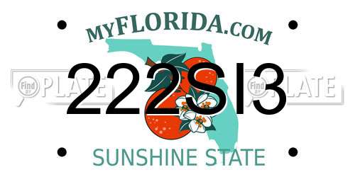 222SI3 Florida License Plate