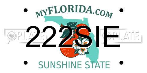 222SIE Florida License Plate